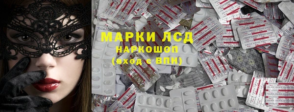 spice Богородицк